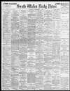 South Wales Daily News Saturday 03 November 1894 Page 1