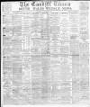 Cardiff Times Saturday 05 October 1878 Page 1