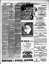 Rhyl Record and Advertiser Saturday 19 January 1901 Page 7