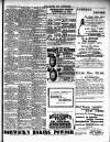 Rhyl Record and Advertiser Saturday 22 June 1901 Page 7