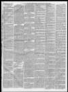 Monmouthshire Merlin Friday 22 October 1880 Page 3