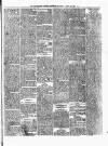 Carmarthen Weekly Reporter Saturday 20 April 1861 Page 3