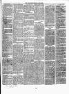 Carmarthen Weekly Reporter Saturday 02 November 1861 Page 3