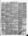 Carmarthen Weekly Reporter Saturday 11 January 1862 Page 3