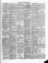 Carmarthen Weekly Reporter Saturday 26 April 1862 Page 3