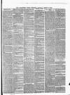 Carmarthen Weekly Reporter Saturday 19 March 1864 Page 3