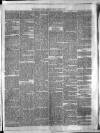 Carmarthen Weekly Reporter Saturday 18 March 1865 Page 3