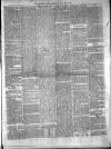 Carmarthen Weekly Reporter Saturday 22 April 1865 Page 3