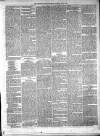 Carmarthen Weekly Reporter Saturday 03 June 1865 Page 3