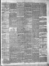 Carmarthen Weekly Reporter Saturday 23 December 1865 Page 3