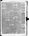 Carmarthen Weekly Reporter Saturday 06 January 1866 Page 3