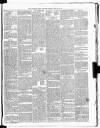 Carmarthen Weekly Reporter Saturday 24 February 1866 Page 3