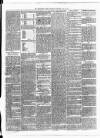 Carmarthen Weekly Reporter Saturday 28 July 1866 Page 3