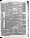 Carmarthen Weekly Reporter Saturday 19 January 1867 Page 3