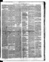 Carmarthen Weekly Reporter Saturday 26 January 1867 Page 3