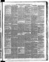 Carmarthen Weekly Reporter Saturday 09 February 1867 Page 3