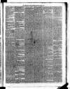 Carmarthen Weekly Reporter Saturday 09 March 1867 Page 3