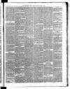 Carmarthen Weekly Reporter Saturday 16 March 1867 Page 3