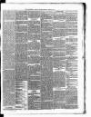 Carmarthen Weekly Reporter Saturday 23 March 1867 Page 3