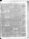 Carmarthen Weekly Reporter Saturday 06 April 1867 Page 3