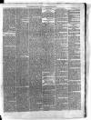 Carmarthen Weekly Reporter Saturday 27 April 1867 Page 3