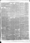 Carmarthen Weekly Reporter Saturday 29 June 1867 Page 3