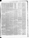 Carmarthen Weekly Reporter Saturday 13 July 1867 Page 3