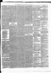 Carmarthen Weekly Reporter Saturday 12 October 1867 Page 3