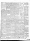 Carmarthen Weekly Reporter Saturday 30 January 1869 Page 3
