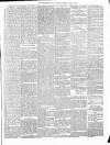 Carmarthen Weekly Reporter Saturday 24 April 1869 Page 3