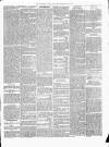 Carmarthen Weekly Reporter Saturday 02 April 1870 Page 3