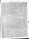 Carmarthen Weekly Reporter Saturday 08 March 1873 Page 3