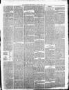 Carmarthen Weekly Reporter Saturday 21 June 1873 Page 3