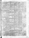 Carmarthen Weekly Reporter Saturday 14 March 1874 Page 3