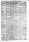 Carmarthen Weekly Reporter Saturday 16 January 1875 Page 3