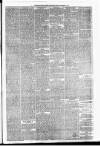 Carmarthen Weekly Reporter Saturday 23 January 1875 Page 3