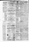 Carmarthen Weekly Reporter Saturday 30 January 1875 Page 2