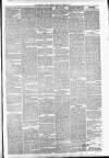 Carmarthen Weekly Reporter Saturday 13 March 1875 Page 3