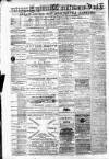 Carmarthen Weekly Reporter Saturday 01 May 1875 Page 2