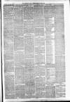 Carmarthen Weekly Reporter Saturday 01 May 1875 Page 3