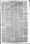 Carmarthen Weekly Reporter Saturday 12 June 1875 Page 3