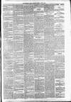 Carmarthen Weekly Reporter Saturday 19 June 1875 Page 3