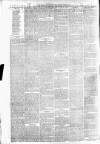 Carmarthen Weekly Reporter Saturday 19 June 1875 Page 4
