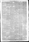 Carmarthen Weekly Reporter Saturday 10 July 1875 Page 3