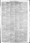 Carmarthen Weekly Reporter Saturday 17 July 1875 Page 3