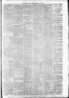 Carmarthen Weekly Reporter Saturday 24 July 1875 Page 3