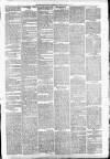 Carmarthen Weekly Reporter Saturday 31 July 1875 Page 3