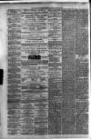 Carmarthen Weekly Reporter Saturday 15 January 1876 Page 2