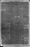 Carmarthen Weekly Reporter Saturday 26 February 1876 Page 3