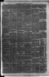 Carmarthen Weekly Reporter Saturday 15 April 1876 Page 3